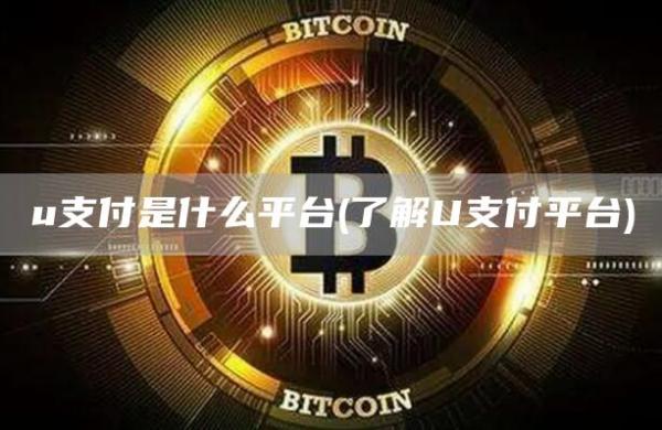 u支付是什么平台 - 了解U支付平台